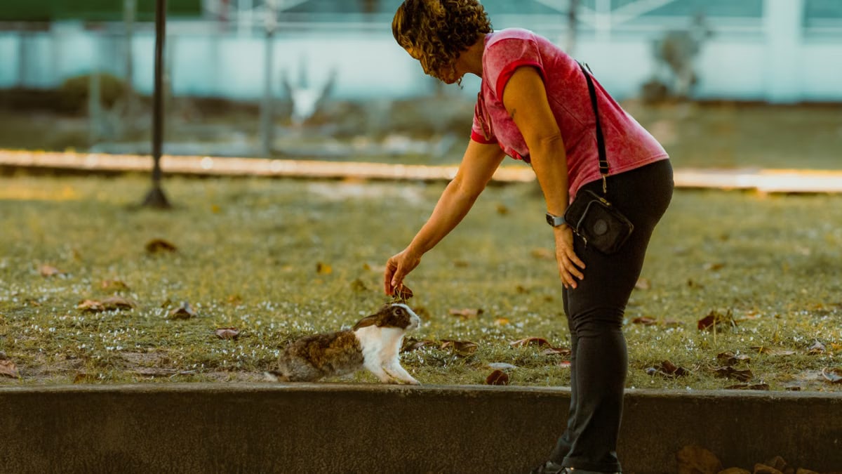 A woman bends down to pet a rabbit in a peaceful park in RN, Brazil, showcasing a warm moment in nature.
